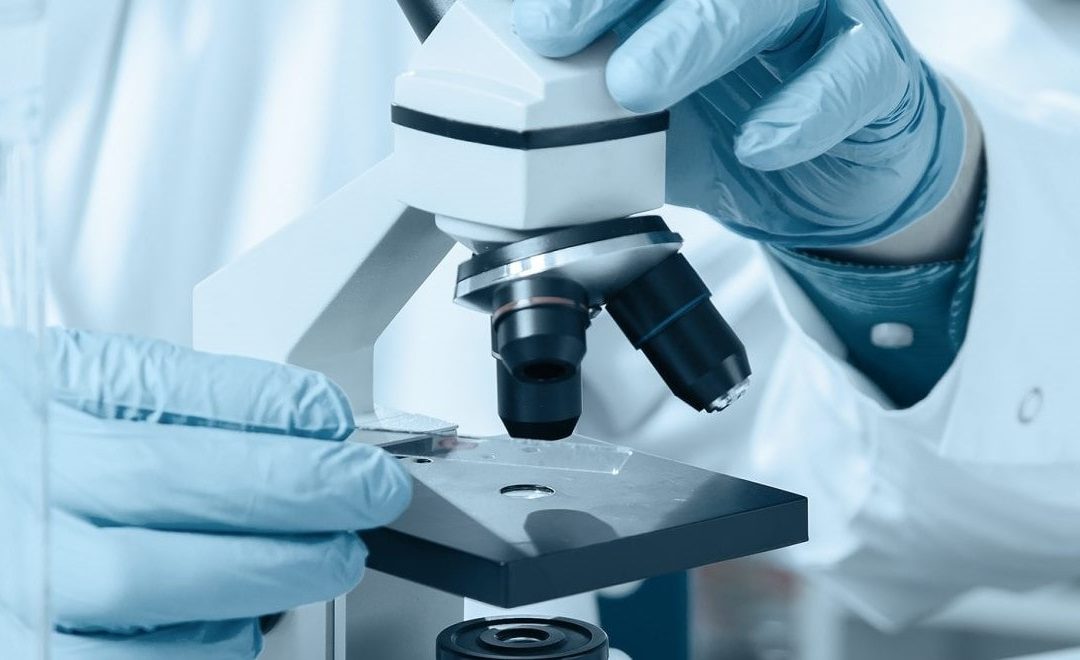 Pharmaceutical & Medical Devices